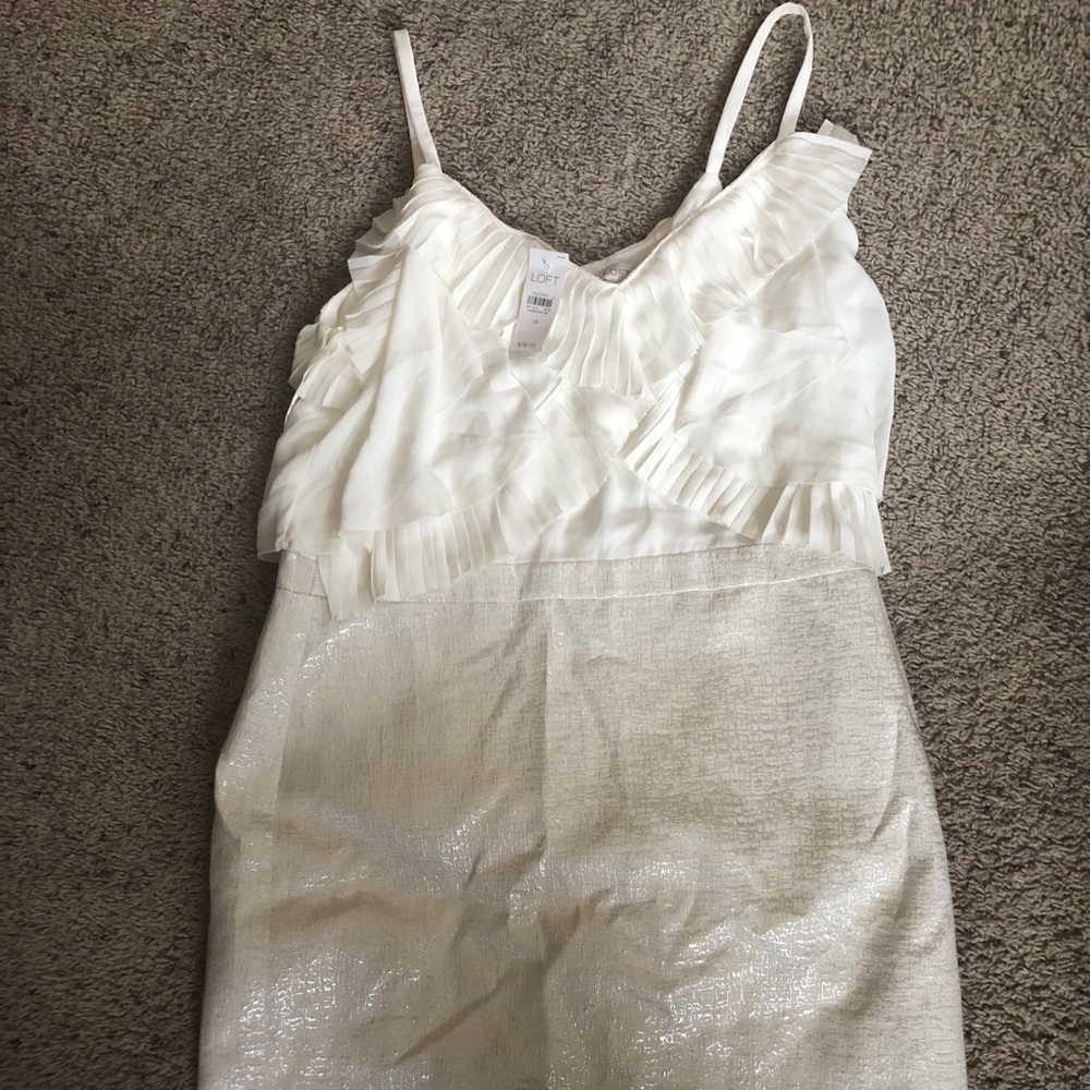 Ann Taylor Loft Dress